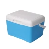 Portable 8L outdoor vehicle-mounted insulated box, ice pack, camping and picnic refrigeration box, barbecue food, chilled breast milk storage Application Scenario